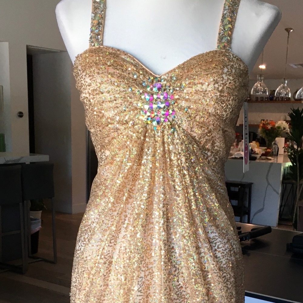 Gorgeous gold sequins gown